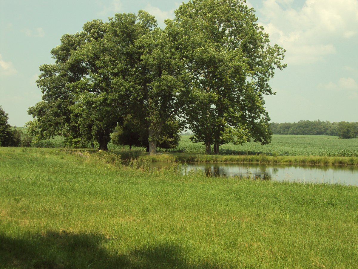 Property photo 18 - 160 Acres Offered in 6 Tracts